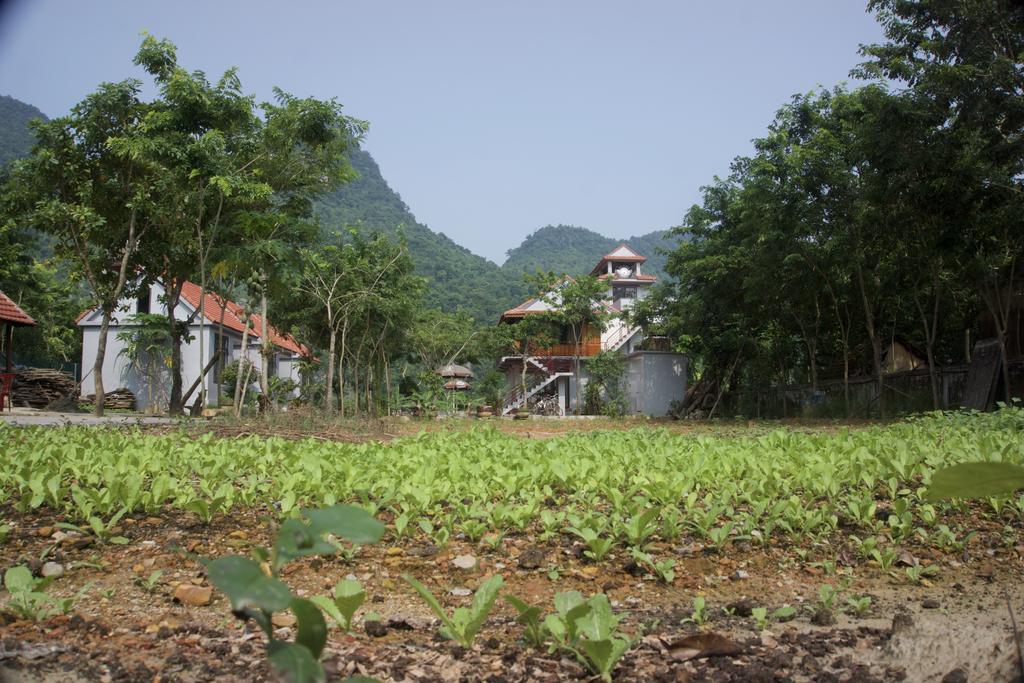 Ho Khanh'S Homestay Phong Nha Eksteriør bilde