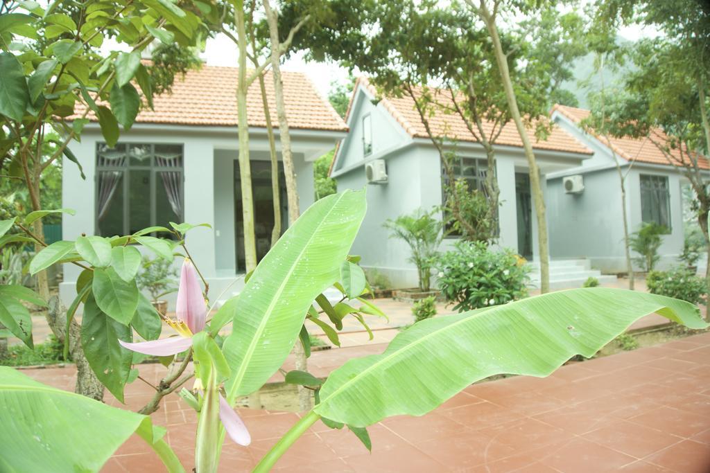 Ho Khanh'S Homestay Phong Nha Eksteriør bilde