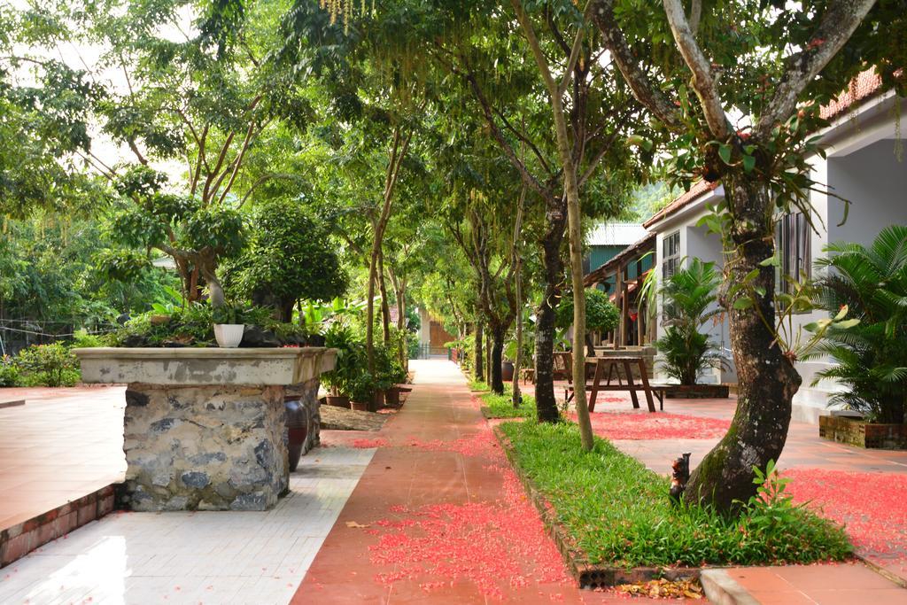 Ho Khanh'S Homestay Phong Nha Eksteriør bilde
